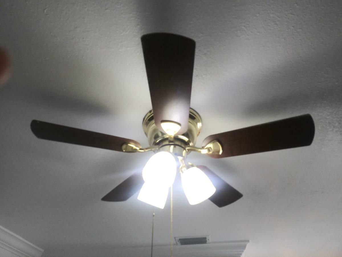 Tampa Citrus Park Apartment Екстериор снимка