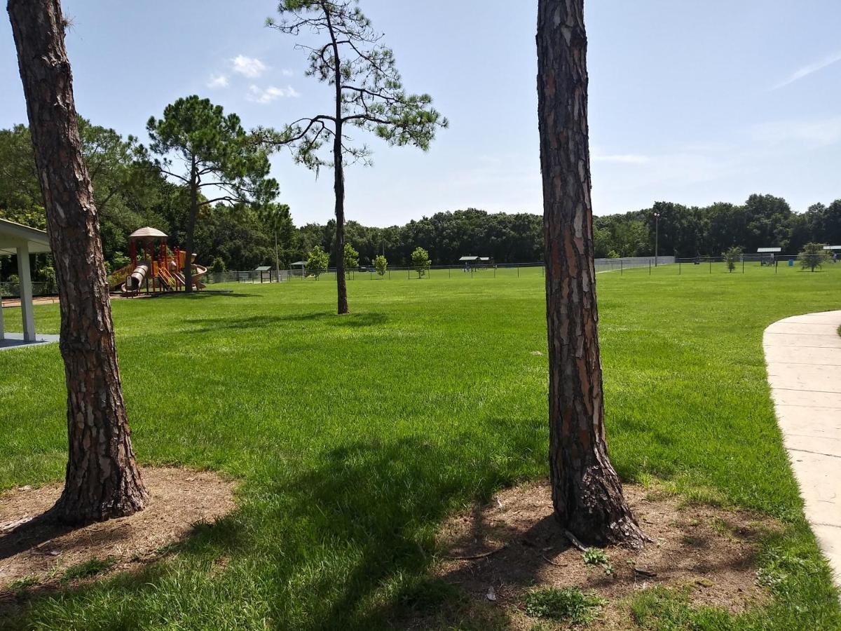 Tampa Citrus Park Apartment Екстериор снимка