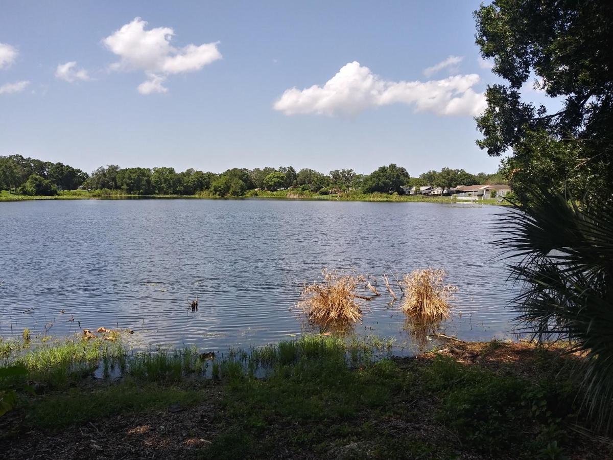 Tampa Citrus Park Apartment Екстериор снимка